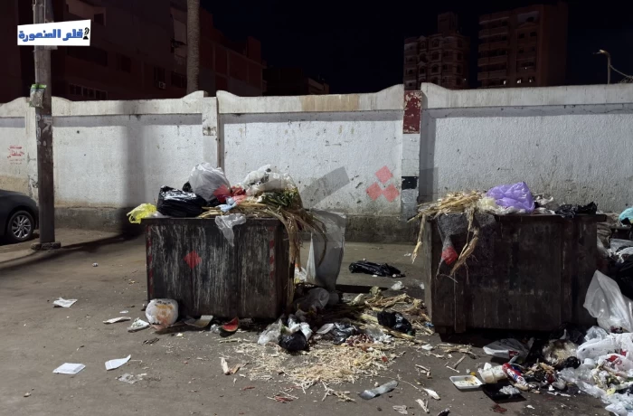 روائح و"نباشين".. مواطنون: القمامة بشارع بلقاس تهدد صحتنا