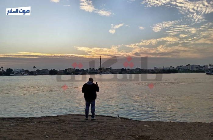 جزيرة الدهب.. أرض خصبة تقاوم زحف العمران في قلب النيل (ألبوم صور)