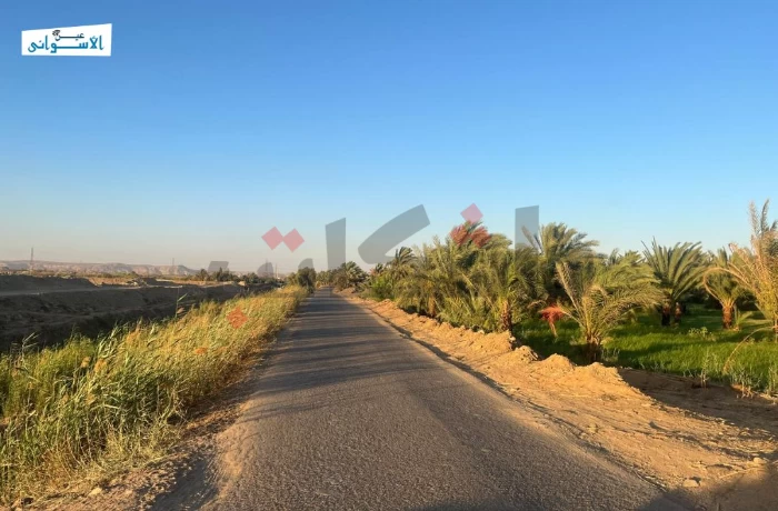 إيجارات الأراضي تهدد مزارعي أسوان.. استصلاح سنوات في خطر