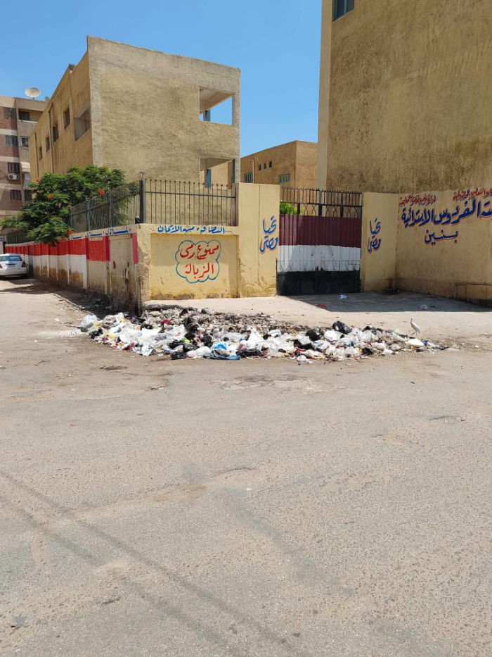 أهالي: حشرات وثعبان داخل مدرسة بالمنصورة.. ومطالبات بتدخل عاجل