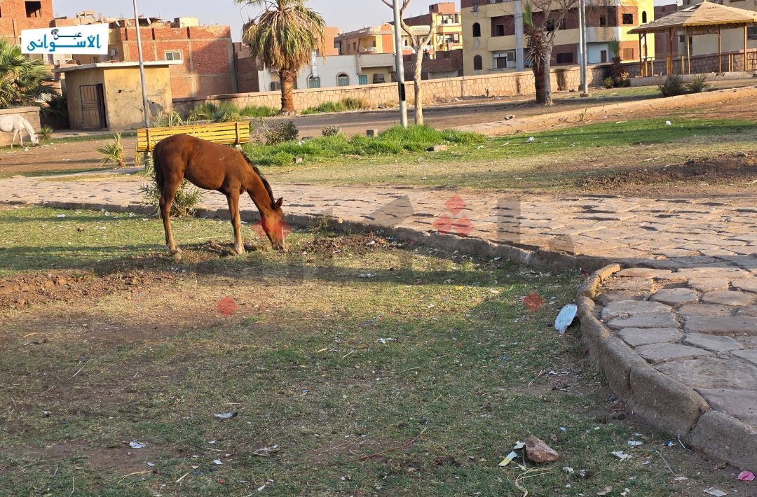 حدائق أسوان العامة