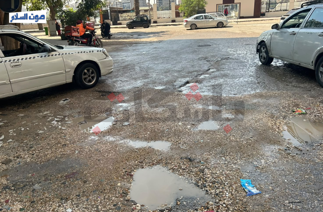 تراكم القمامة في شارع المنيل الرئيسي