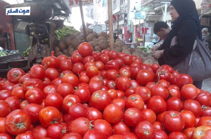 غضب ربّات البيوت بسبب "غلاء الطماطم"