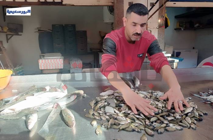 تضاعف أسعار "الأسماك" يطردها من وجبات البورسعيدية تدريجيًا