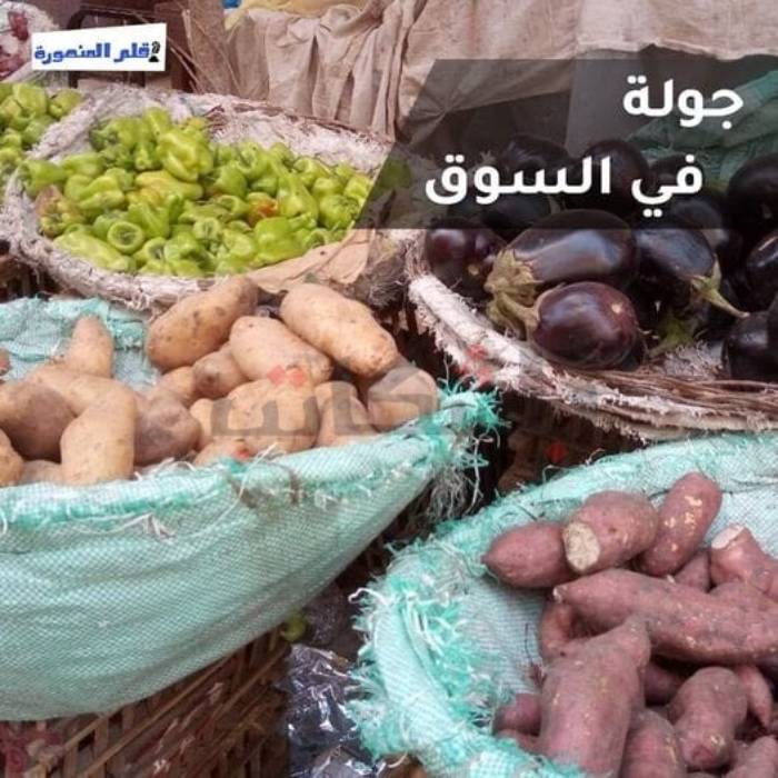 جولة في السوق | تعرّف على أسعار الخضروات والفاكهة واللحوم بالمنصورة