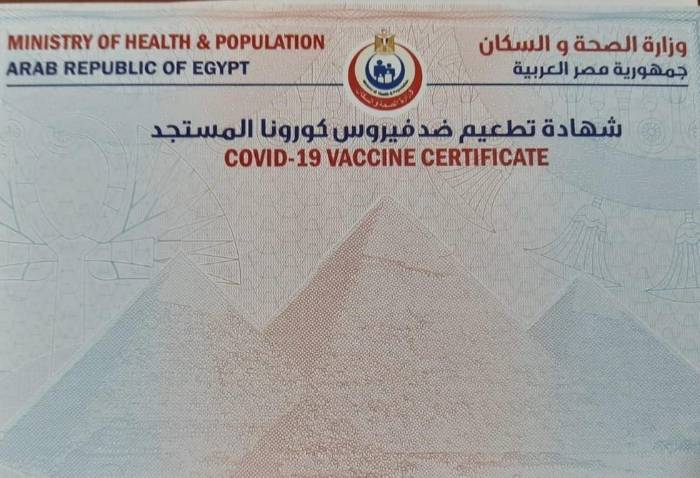 شهادة تلقي اللقاح.. تأشيرة دخول المنشآت الحكومية بالمنصورة