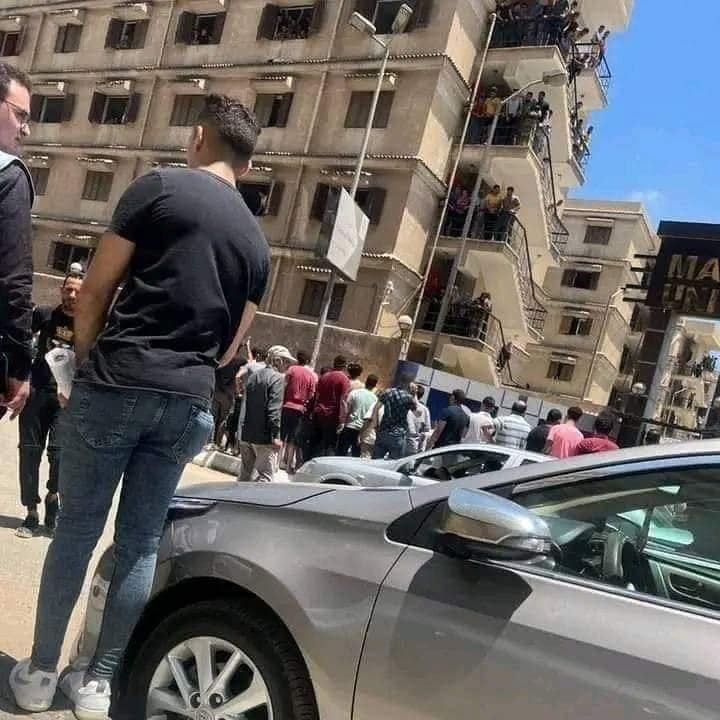 تعليقا على مقتل طالبة المنصورة.. طلاب يستنكرون العنف وينتقدون سلبية الشهود