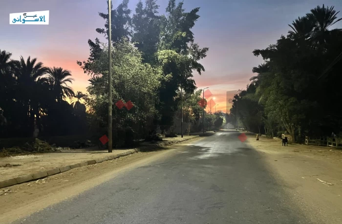 انطلاق مبادرة "تشجير أسوان" لمواجهة التغيرات المناخية