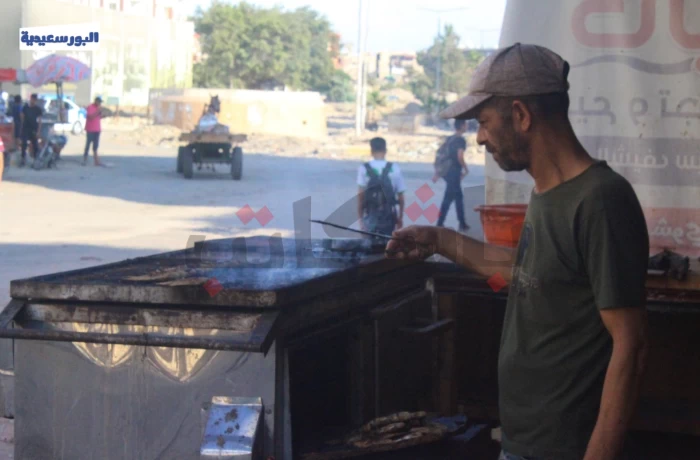 بعد ارتفاع سعره في بورسعيد.. هل سمك البوري أصبح وجبة الأثرياء؟