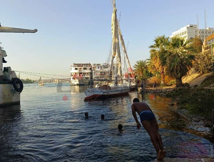 ألبوم صور.. هربًا من الطقس الحار.. أطفال أسوان يمارسون السباحة في النيل