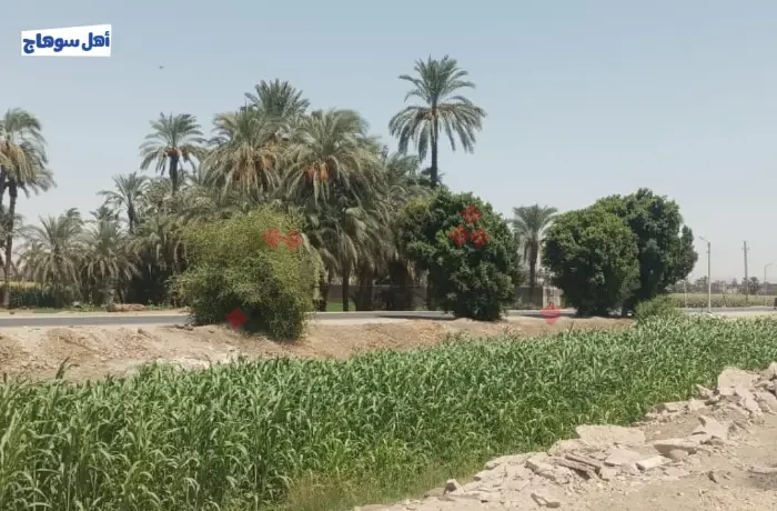 نجع الماسخ.. سحر الريف (ألبوم صور)