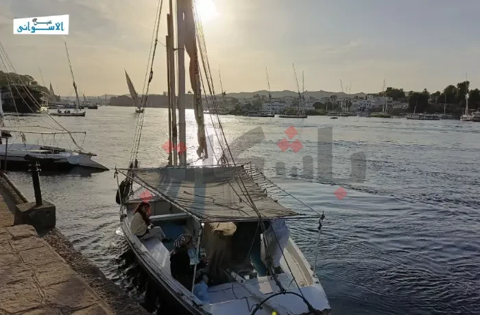 "عدسة على الحصاد".. مسابقة فوتوغرافية لتوثيق موسم القمح