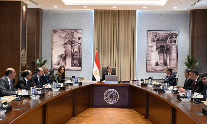 تشمل التعقيم.. "مدبولي" يوافق على خطة التعامل مع الكلاب الضالة