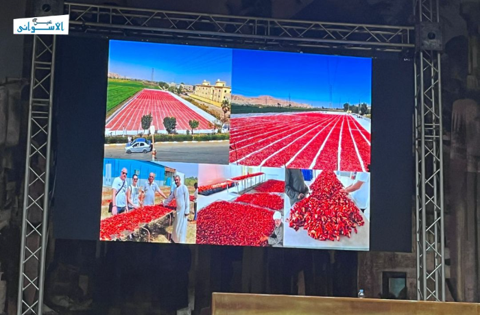 "توشكى الزراعي" يناقش مستقبل الطماطم المجففة في أسوان