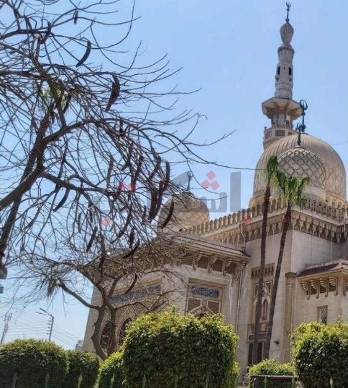 بهجة التراويح تضيء مصليات النساء بمساجد المنصورة