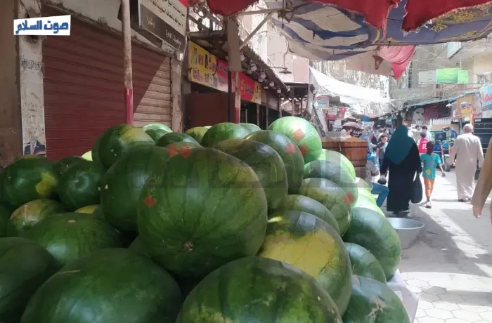 فاكهة "الغلابة" في خطر.. أسعار البطيخ تقفز إلى 200 جنيه