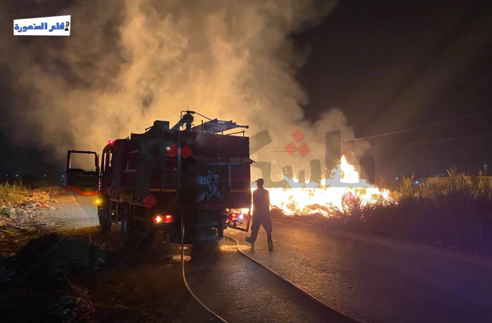 تكرار حرائق قش القصب بطلخا.. ورئيس مجلس المدينة يرفض الرد