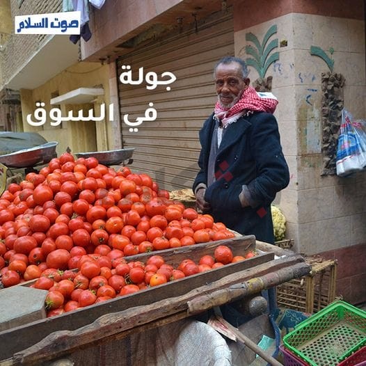 أسواق دار السلام.. انخفاض الطماطم إلى 15 جنيه