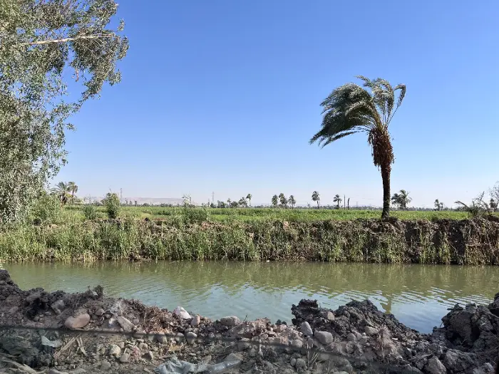 Harvest Season Threatened by Expensive and Unavailable Fertilisers in Aswan