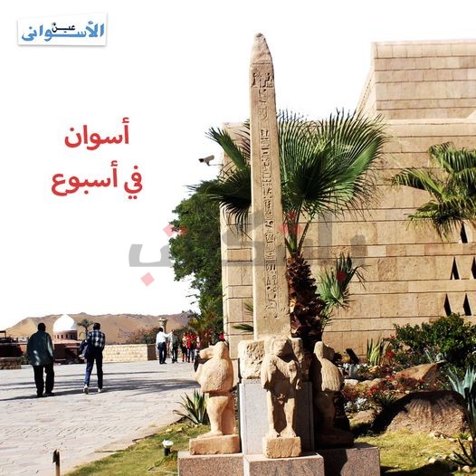 أسوان في أسبوع |استعدادات افتتاح مكتبة مصر العامة والكشف المجاني على المواطنين