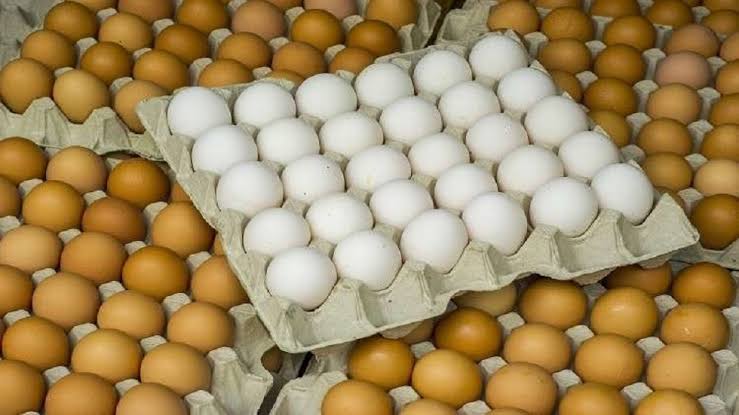 قفزة في أسعار البيض.. وزراعيون: الموجة الحارة السبب