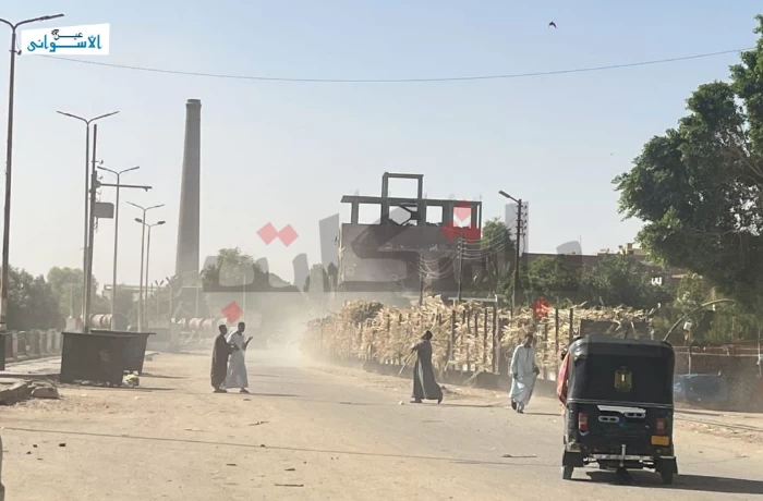 أسوان تستعد لتوريد قصب السكر منتصف يناير المقبل