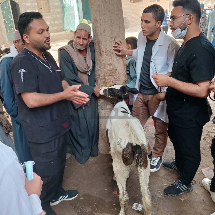 بيطري المنيا تقدم الخدمة العلاجية والإرشادية في أبو قرقاص