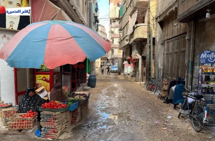 بالأمطار .. الشتاء يودع المنصورة