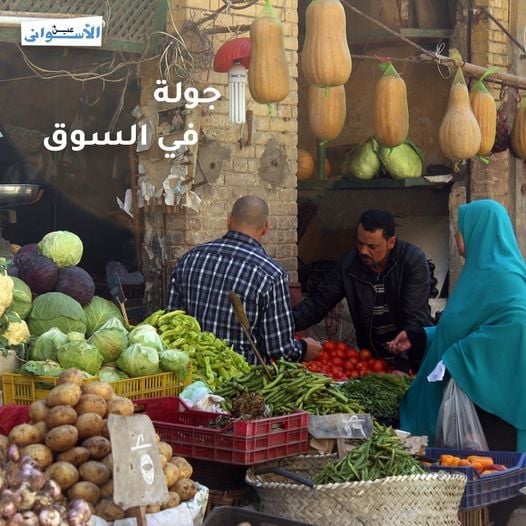 جولة في أسواق أسوان.. كيلو اللحوم البلدي في منفذ وزارة الزراعة 230 جنيهًا