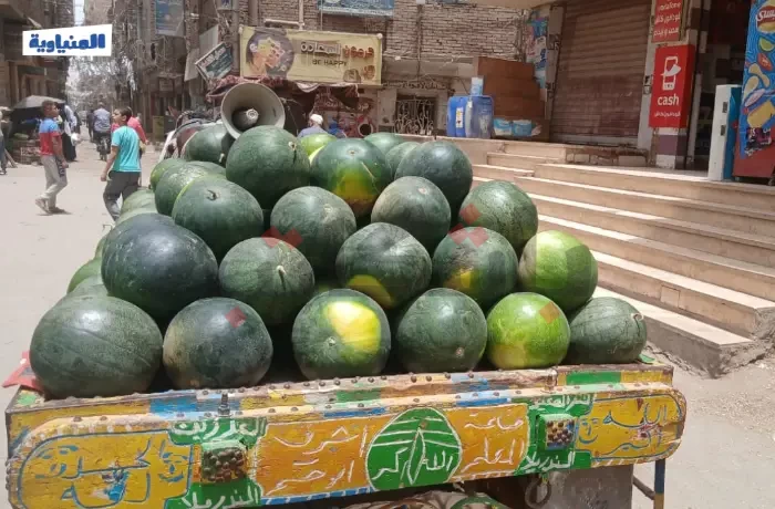 شكاوى من نزلات معوية بسبب البطيخ.. ومزارعون يفسرون الأسباب
