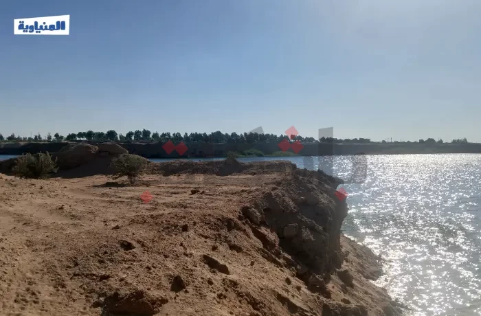 بحيرة البهنسا.. كيف يمكن تحويلها إلى مورد اقتصادي؟